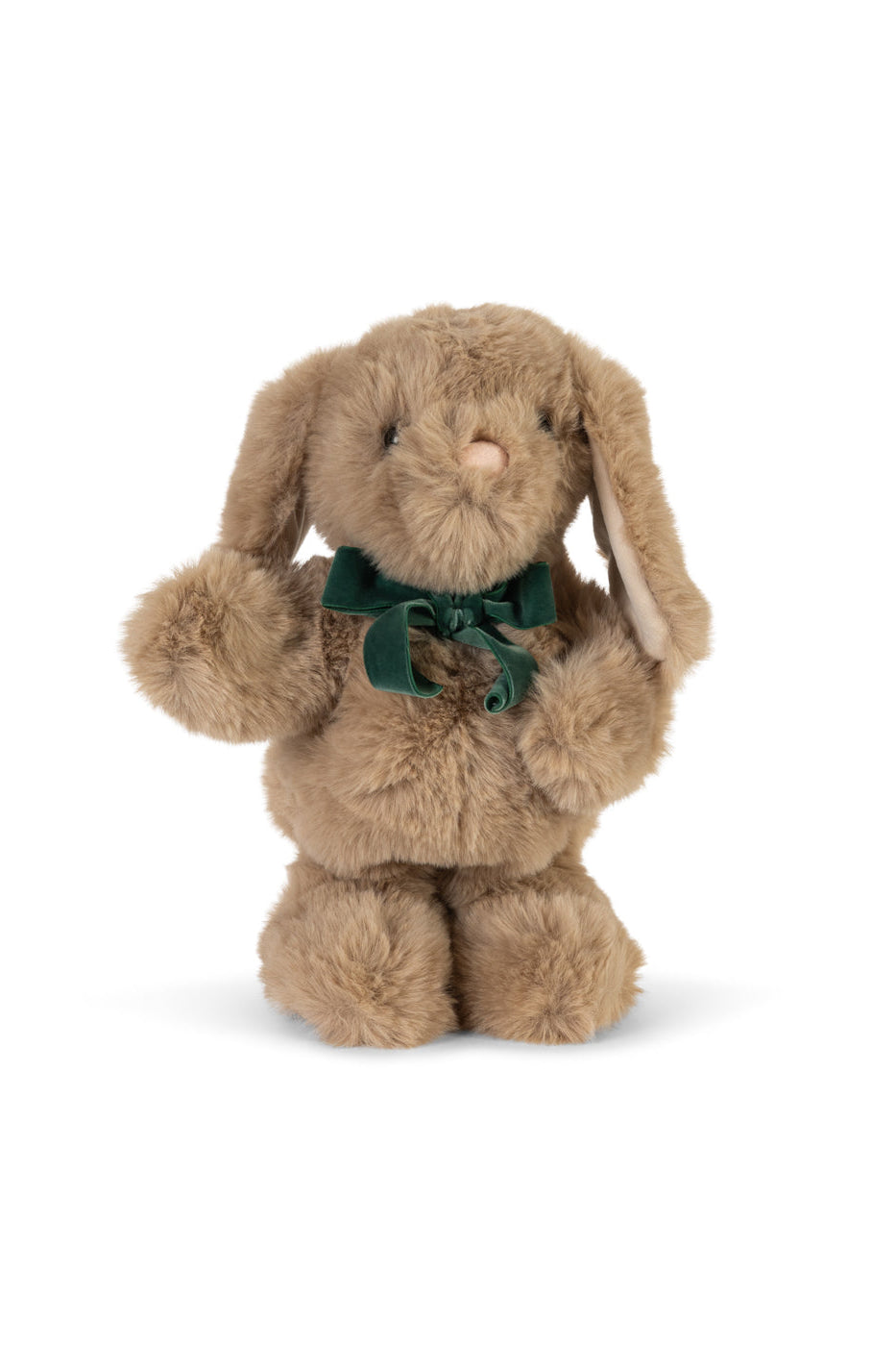 Dancing & Talking Bunny