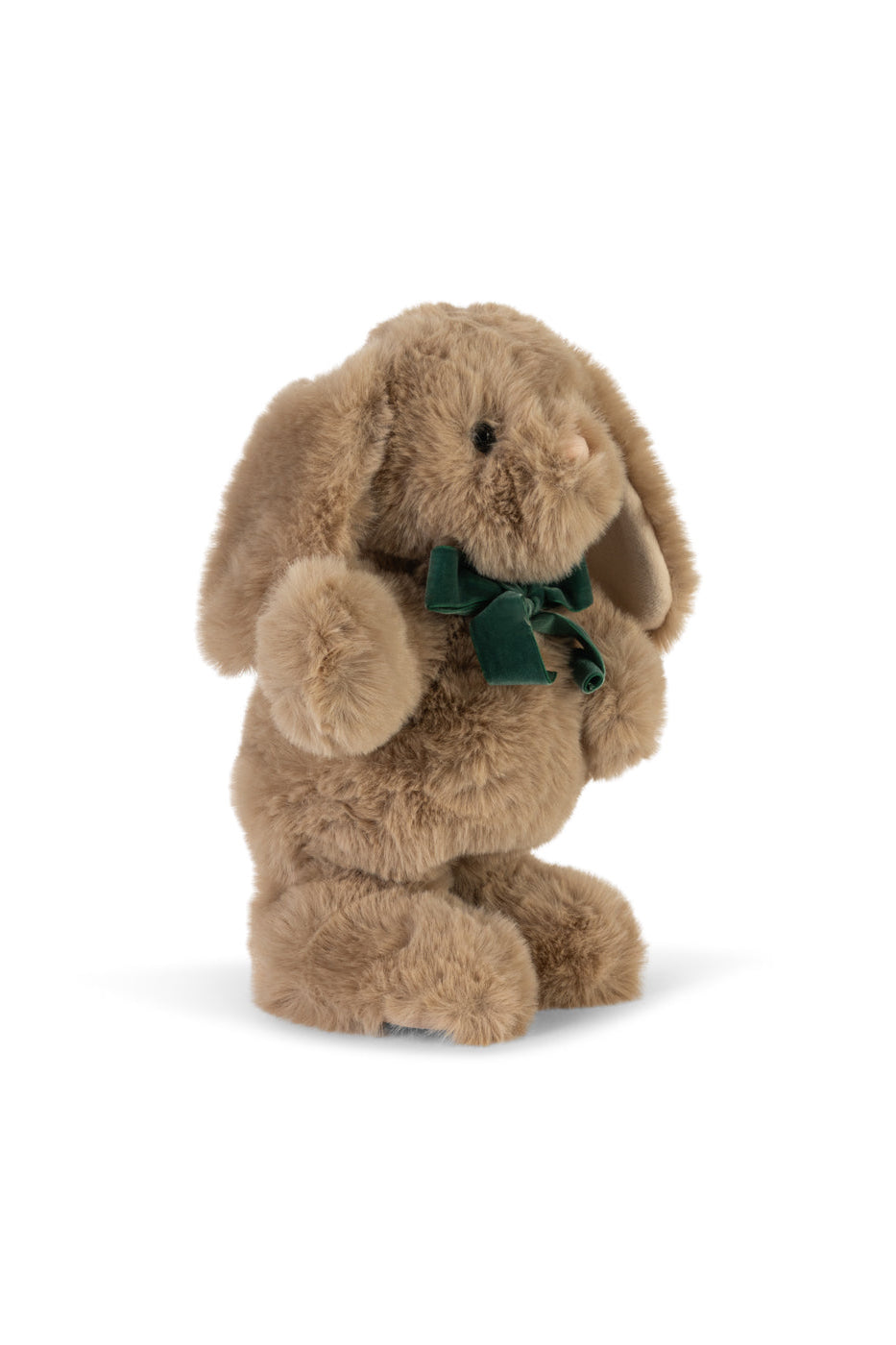 Dancing & Talking Bunny