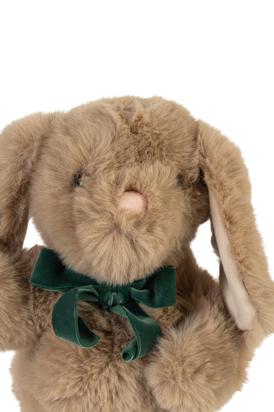 Dancing & Talking Bunny