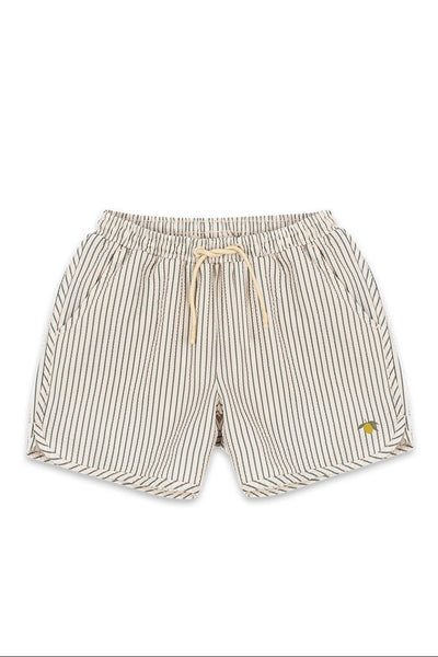 Asnou Swim Shorts - Tea Stripe