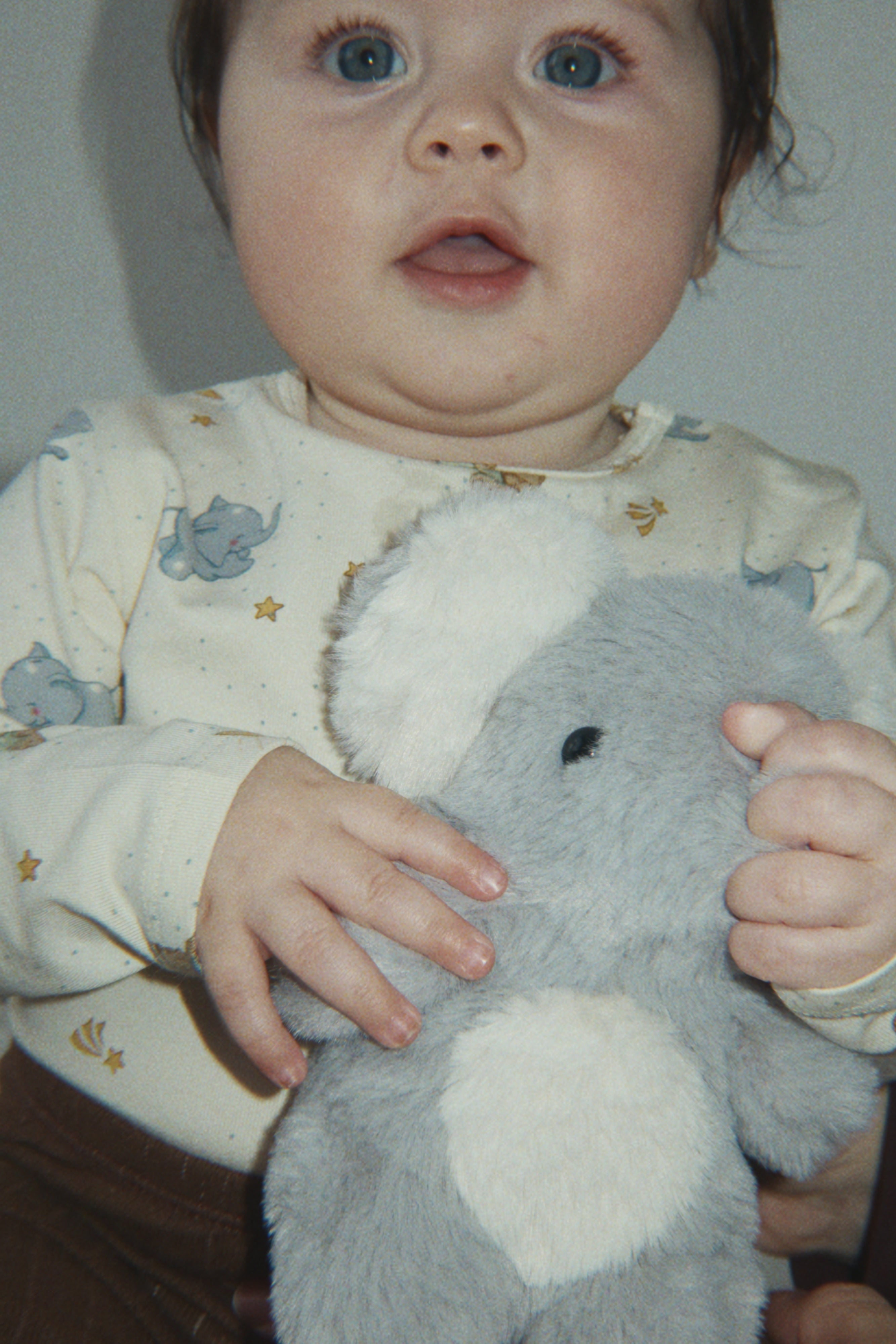 Elephant Activity Toy - Sleet