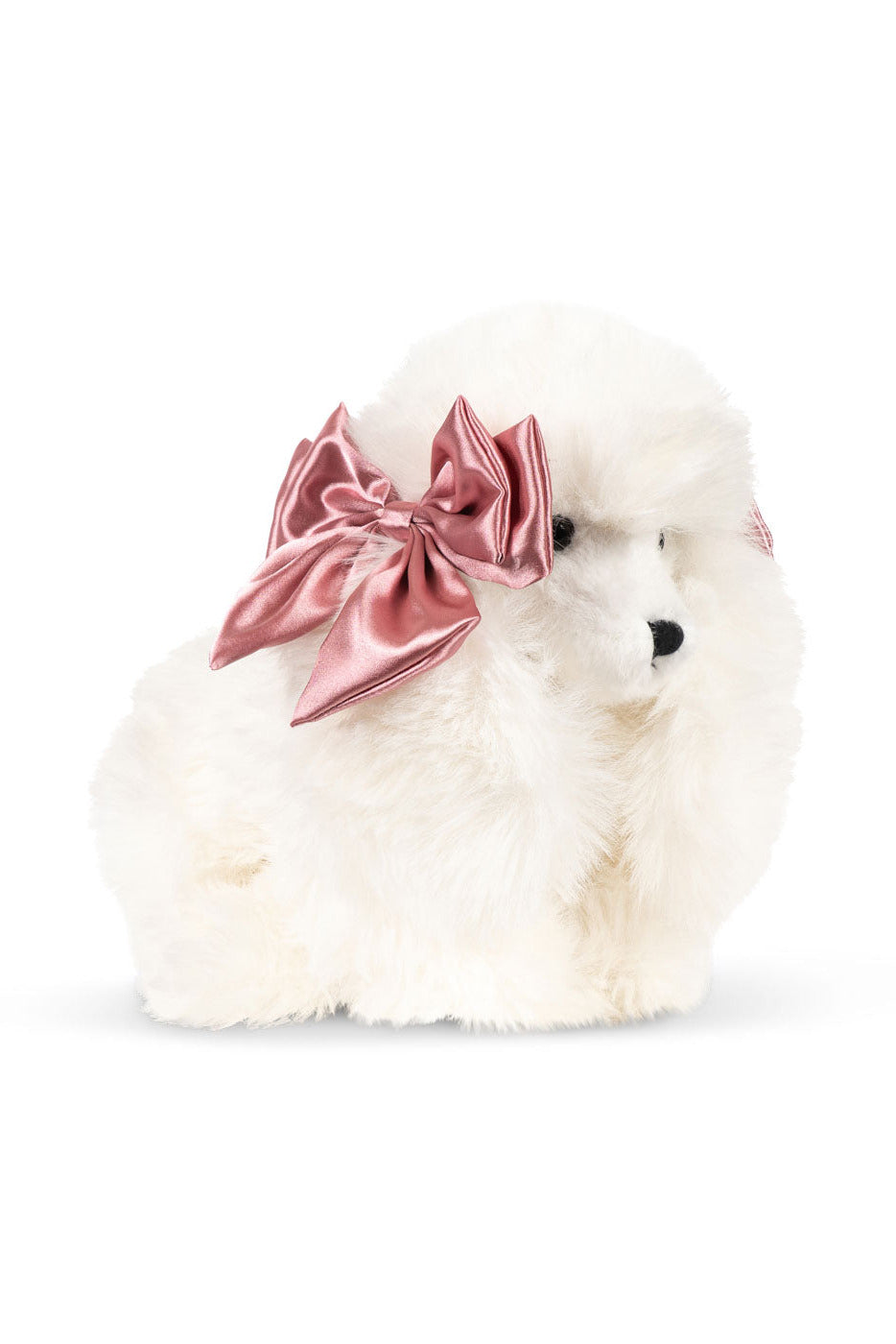 Spitz Puppy - Beige
