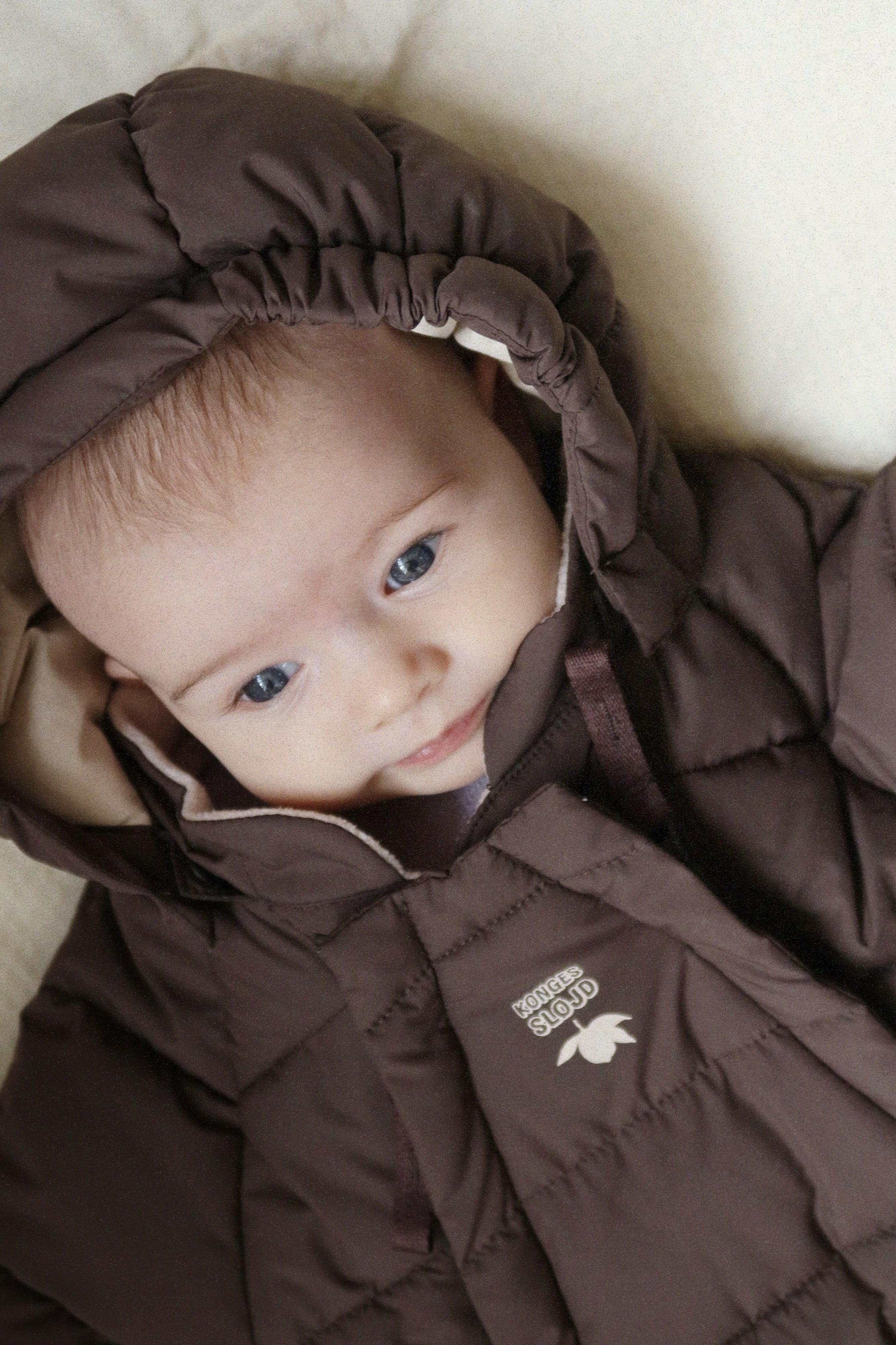 Alpi Baby Suit - Chocolate Brown