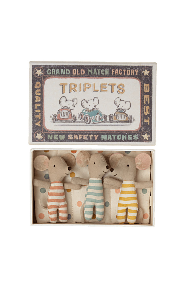 Triplets - Baby Mice In Matchbox