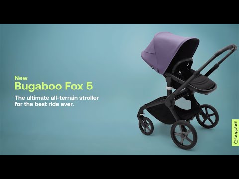 Black/Midnight Black Fox 5 Kinderwagen Bugaboo - Babyshop