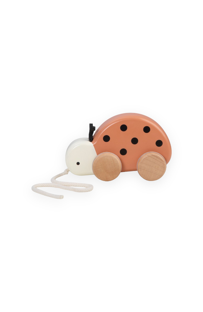 Wooden Pull Along Toy - Luca the Ladybird