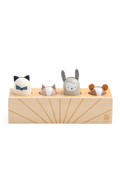 Wooden Pop Up Toy