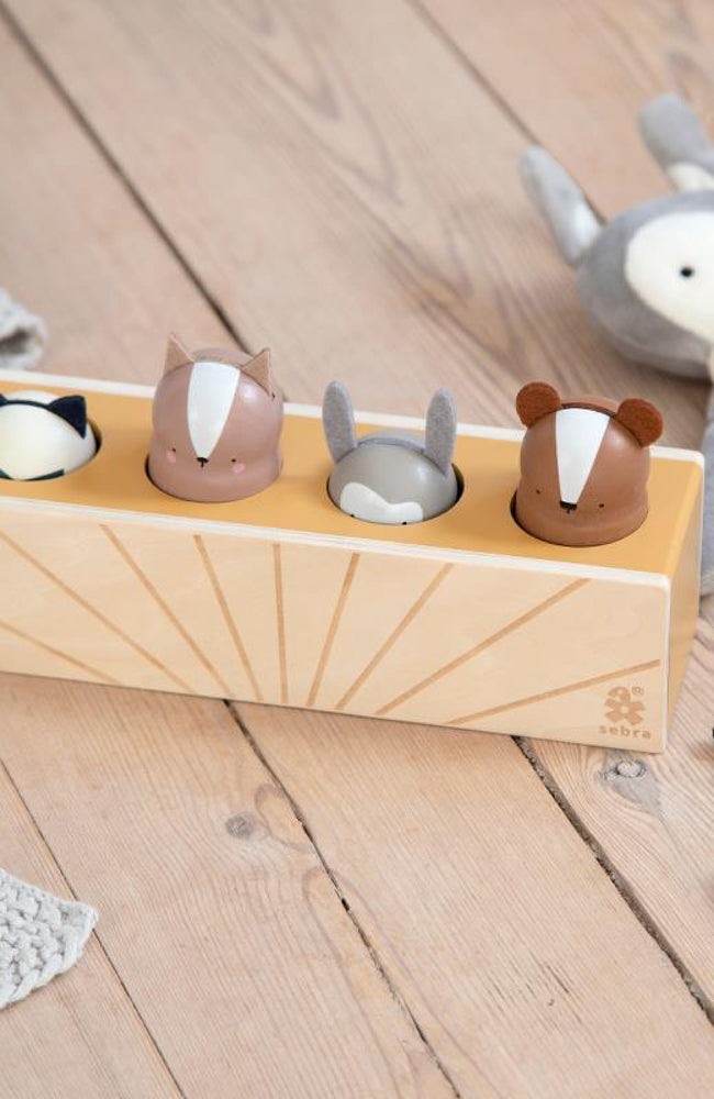 Wooden Pop Up Toy