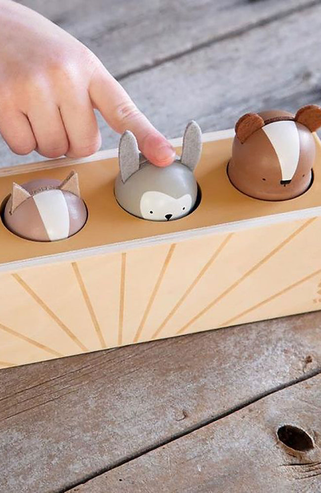 Wooden Pop Up Toy